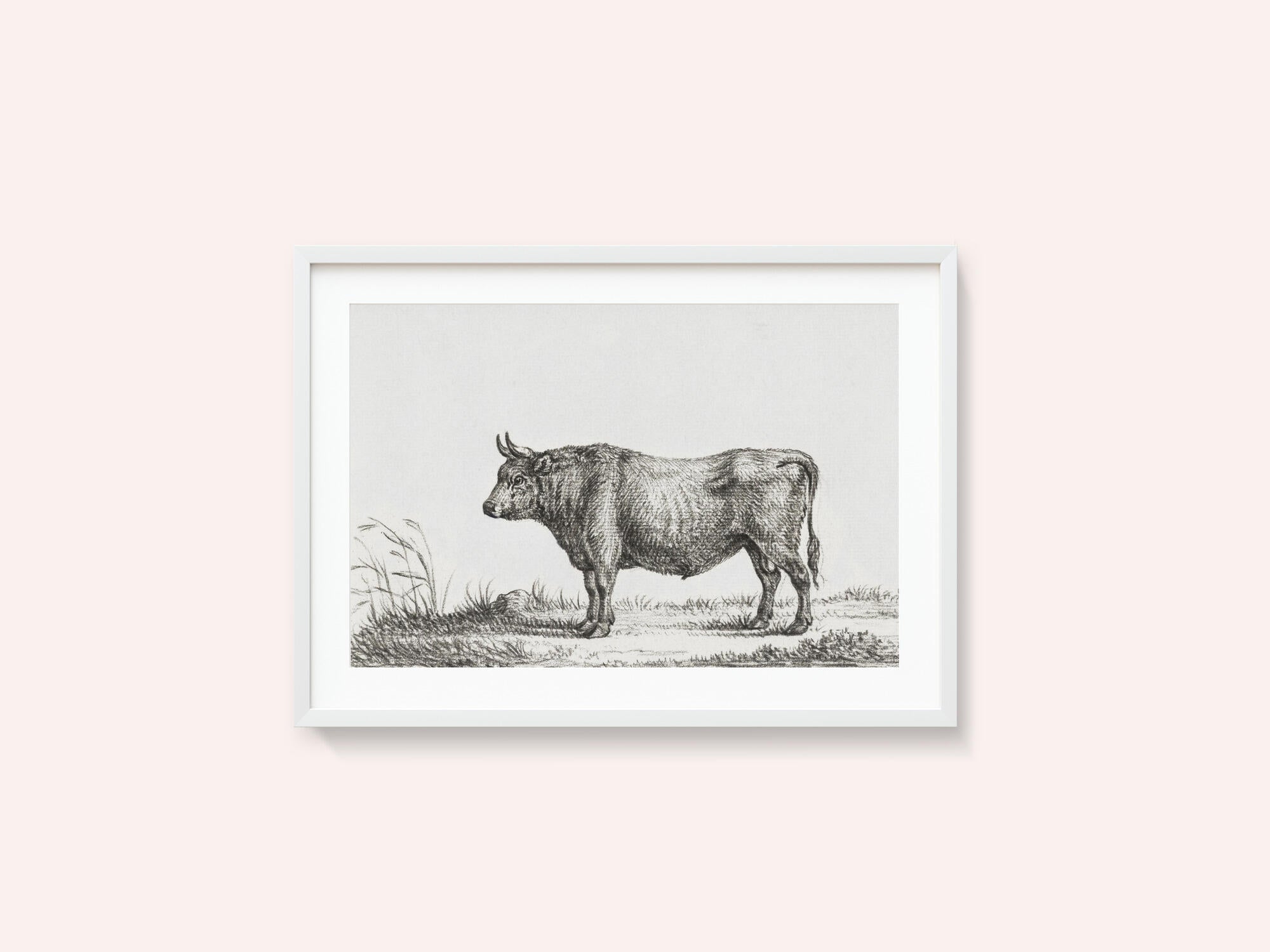 Standing Bull