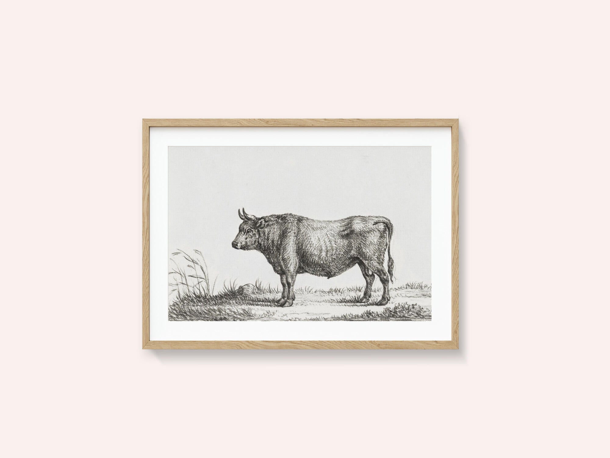 Standing Bull