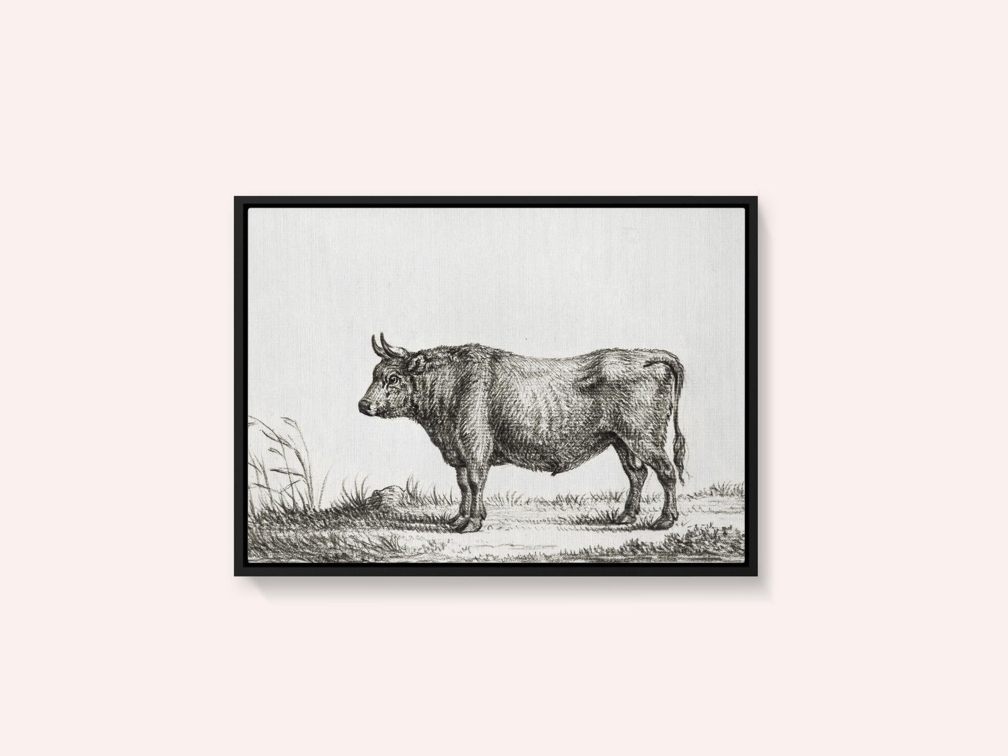 Standing Bull