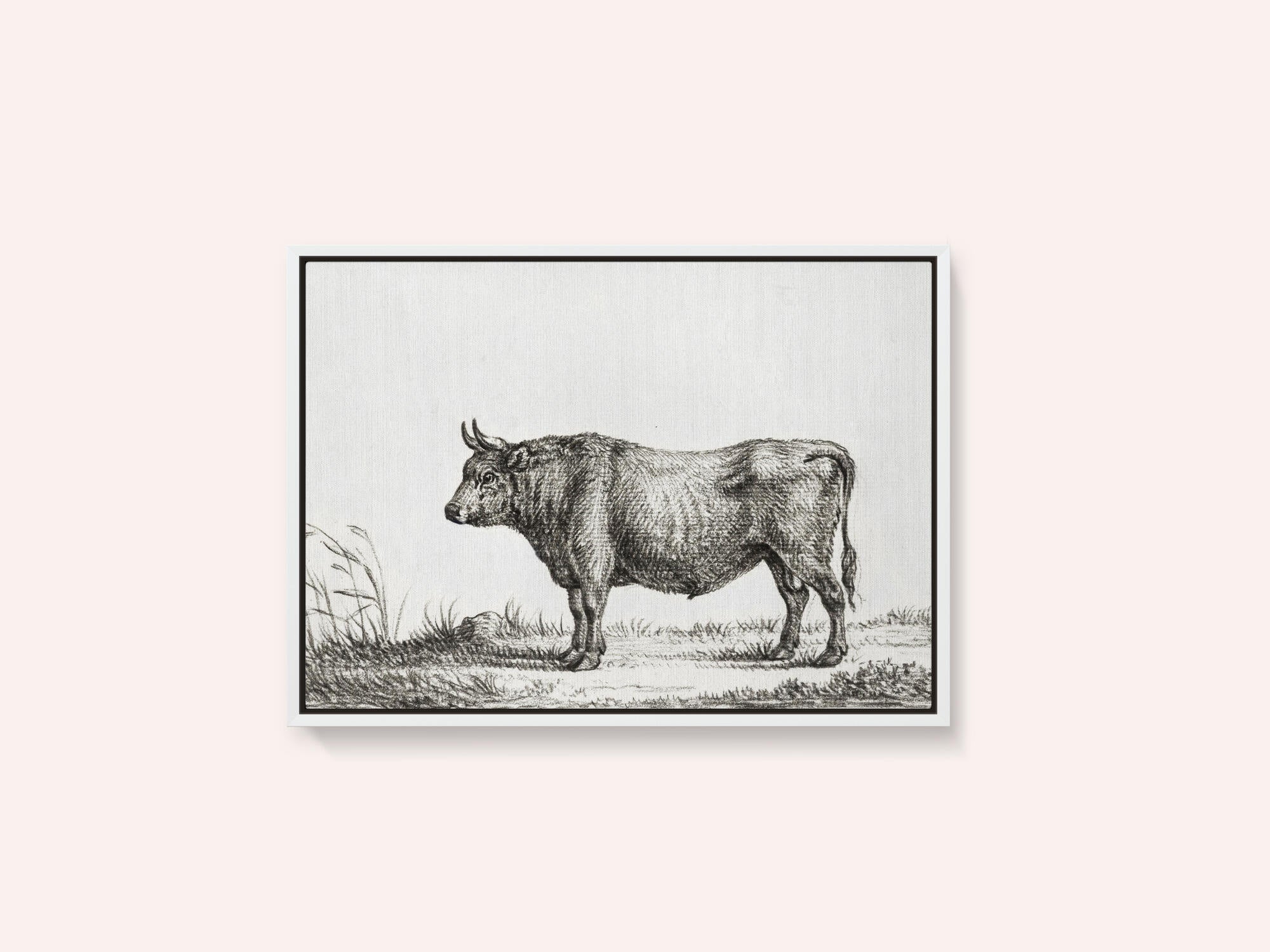 Standing Bull