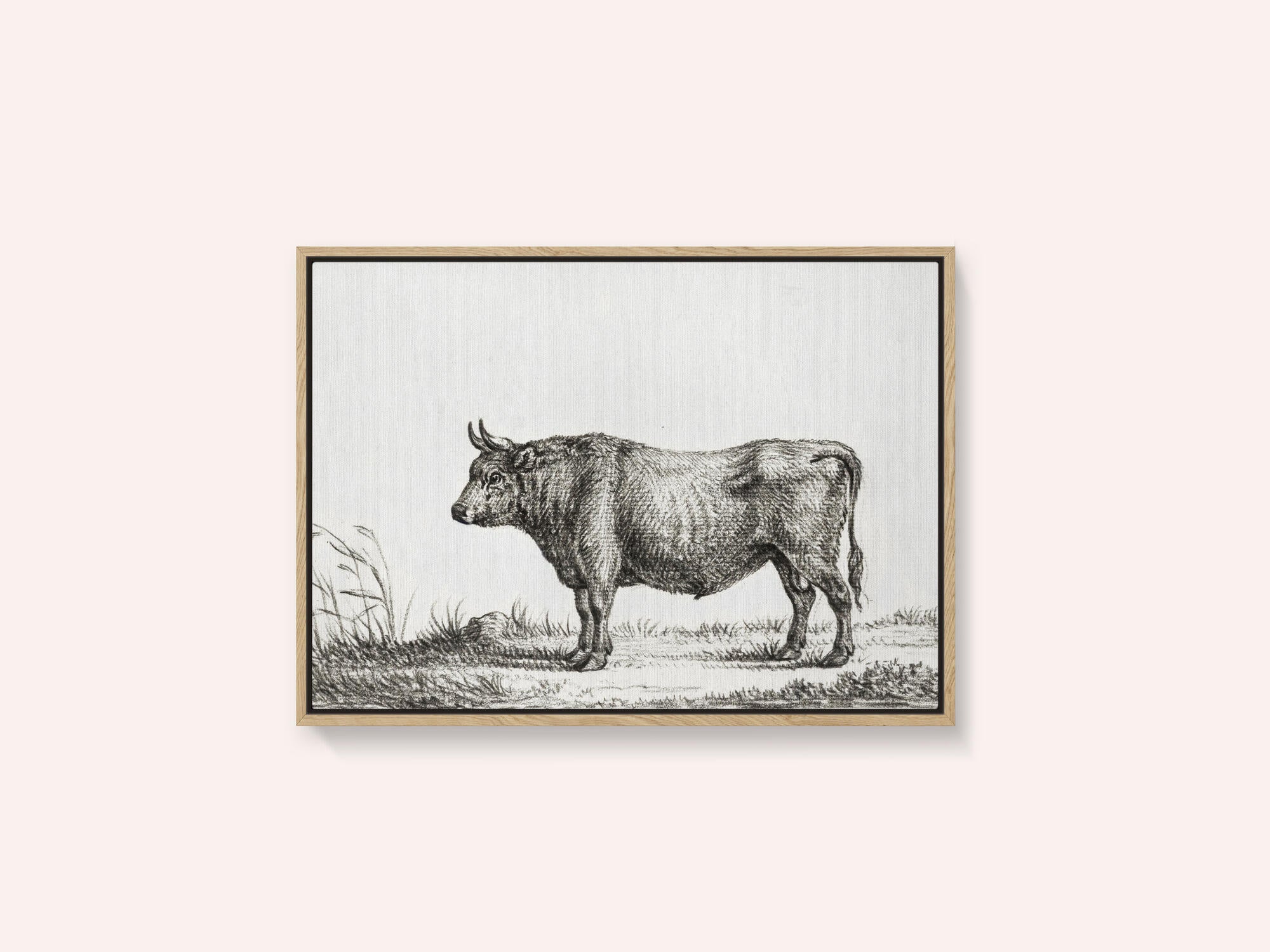 Standing Bull