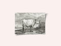 Standing Bull (1817)