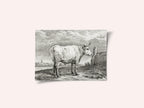 Standing Bull (1817)