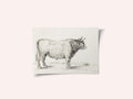 Standing Bull