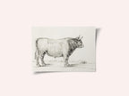 Standing Bull
