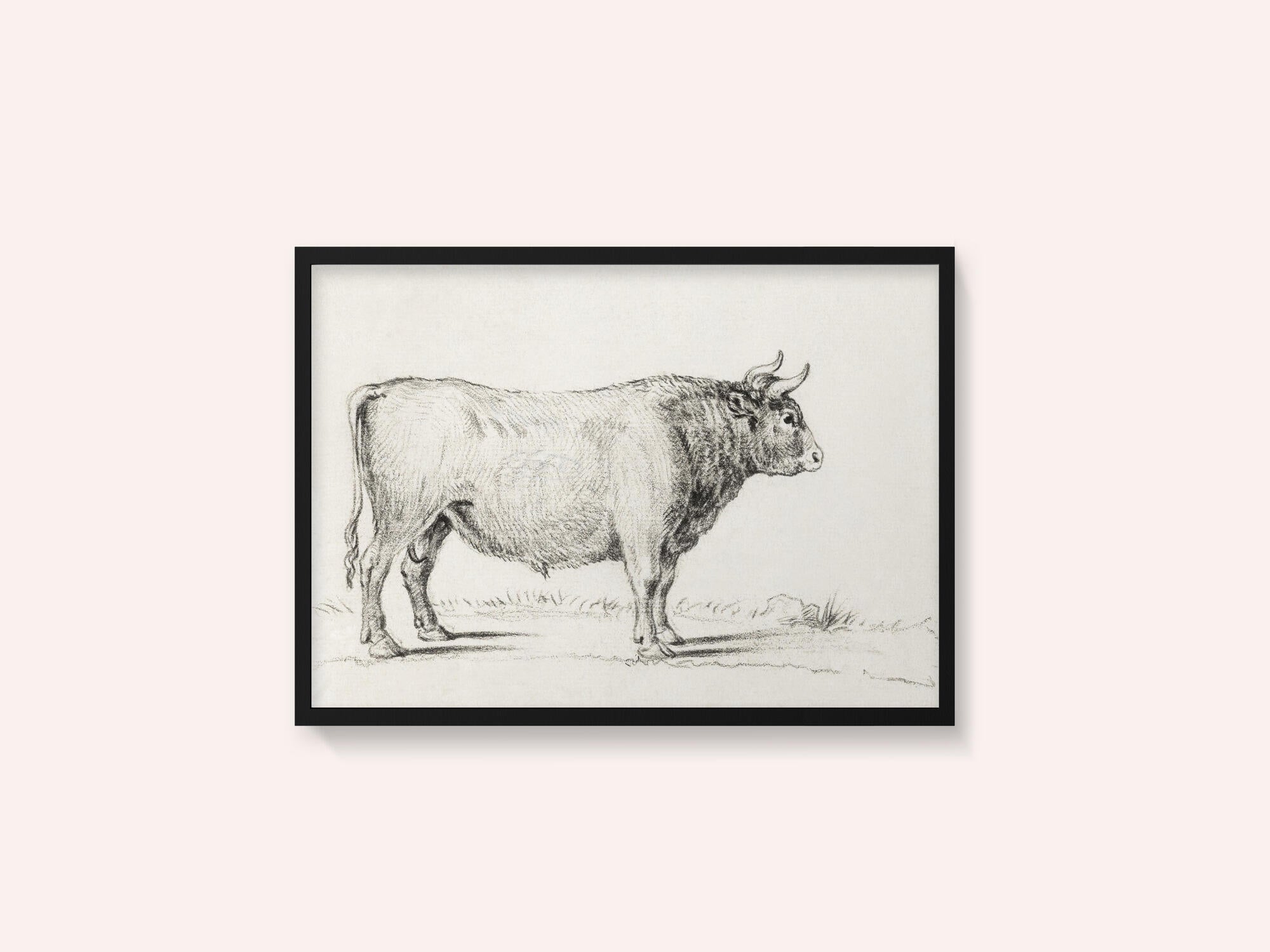 Standing Bull