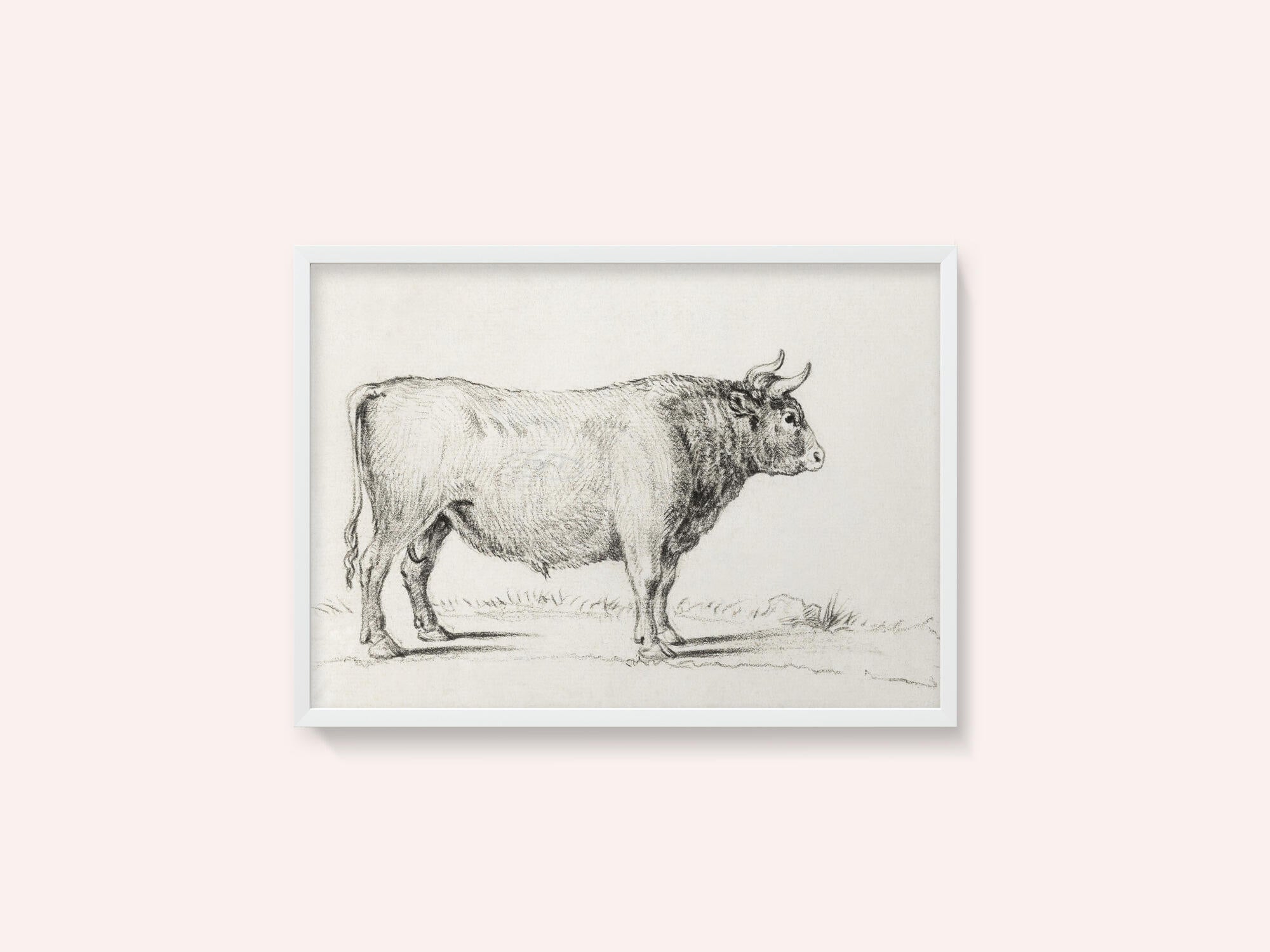 Standing Bull