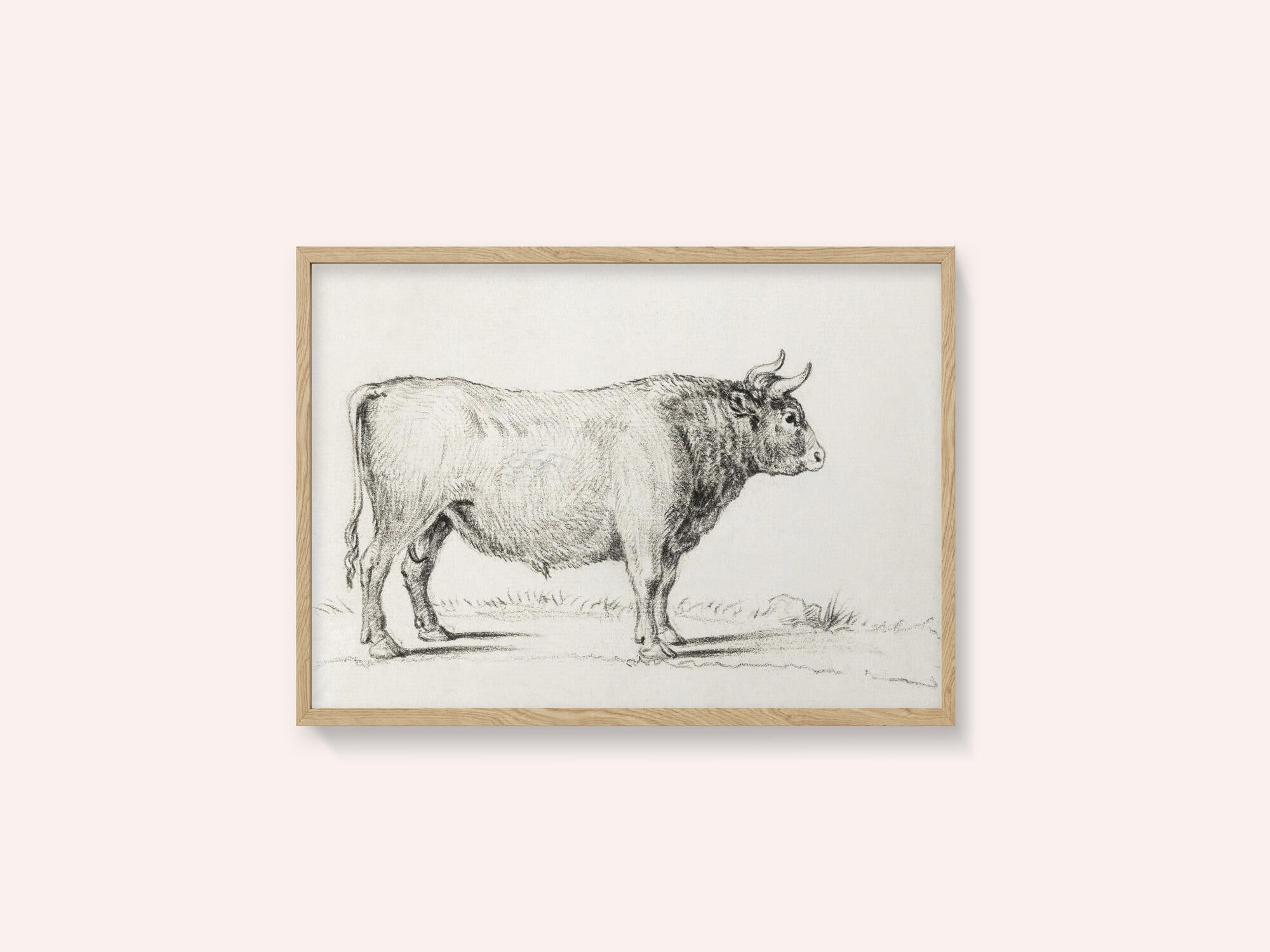 Standing Bull