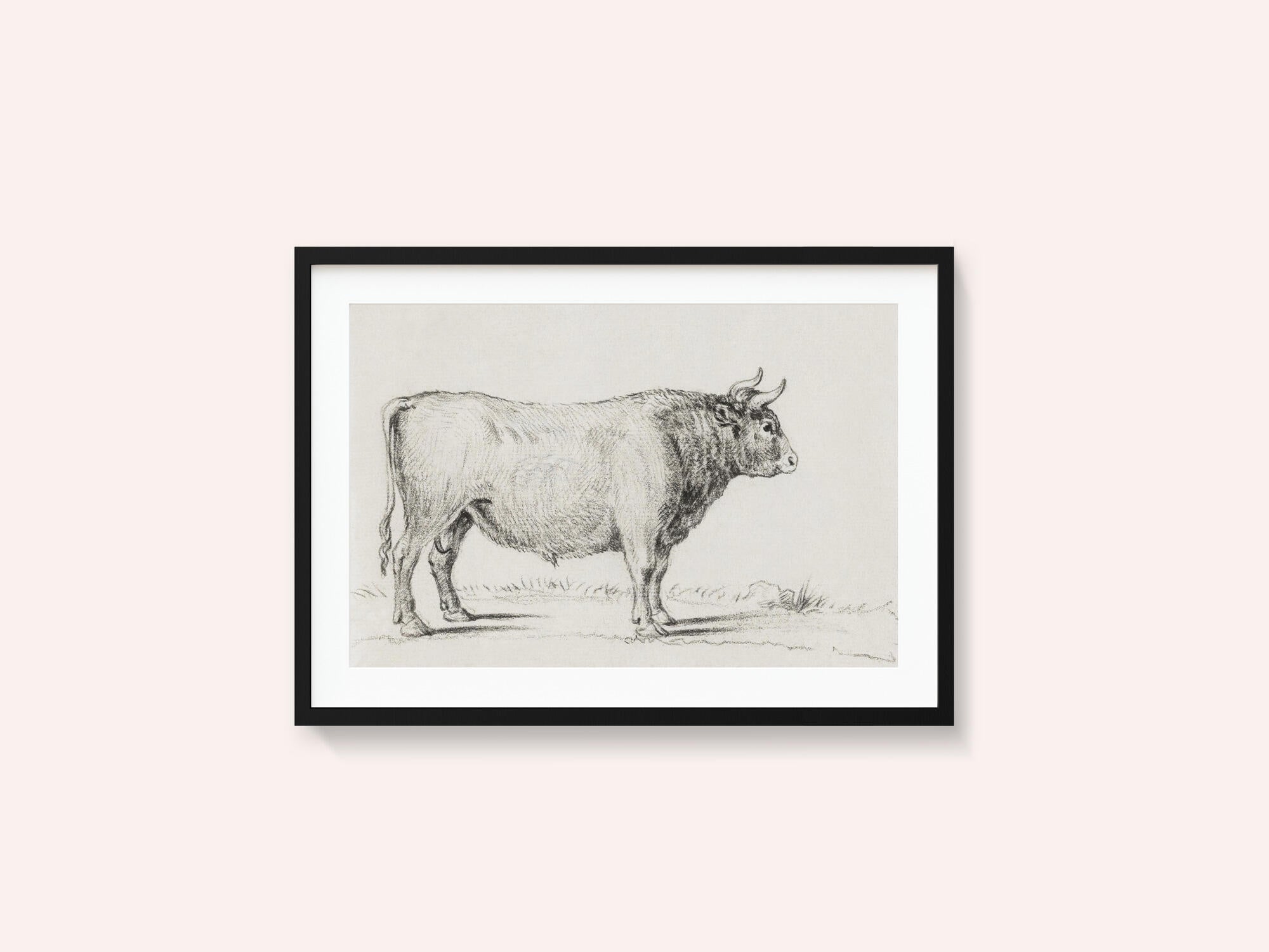 Standing Bull
