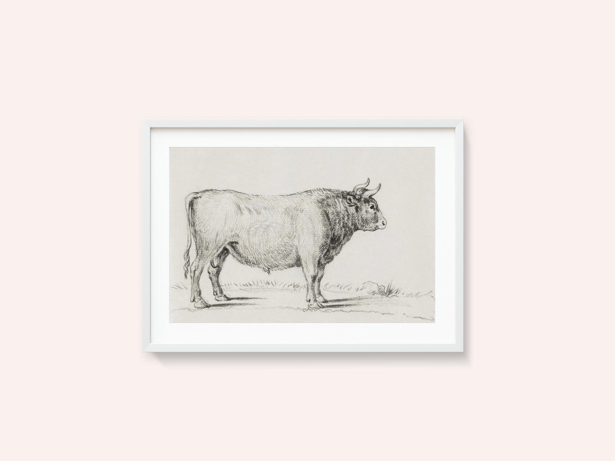 Standing Bull