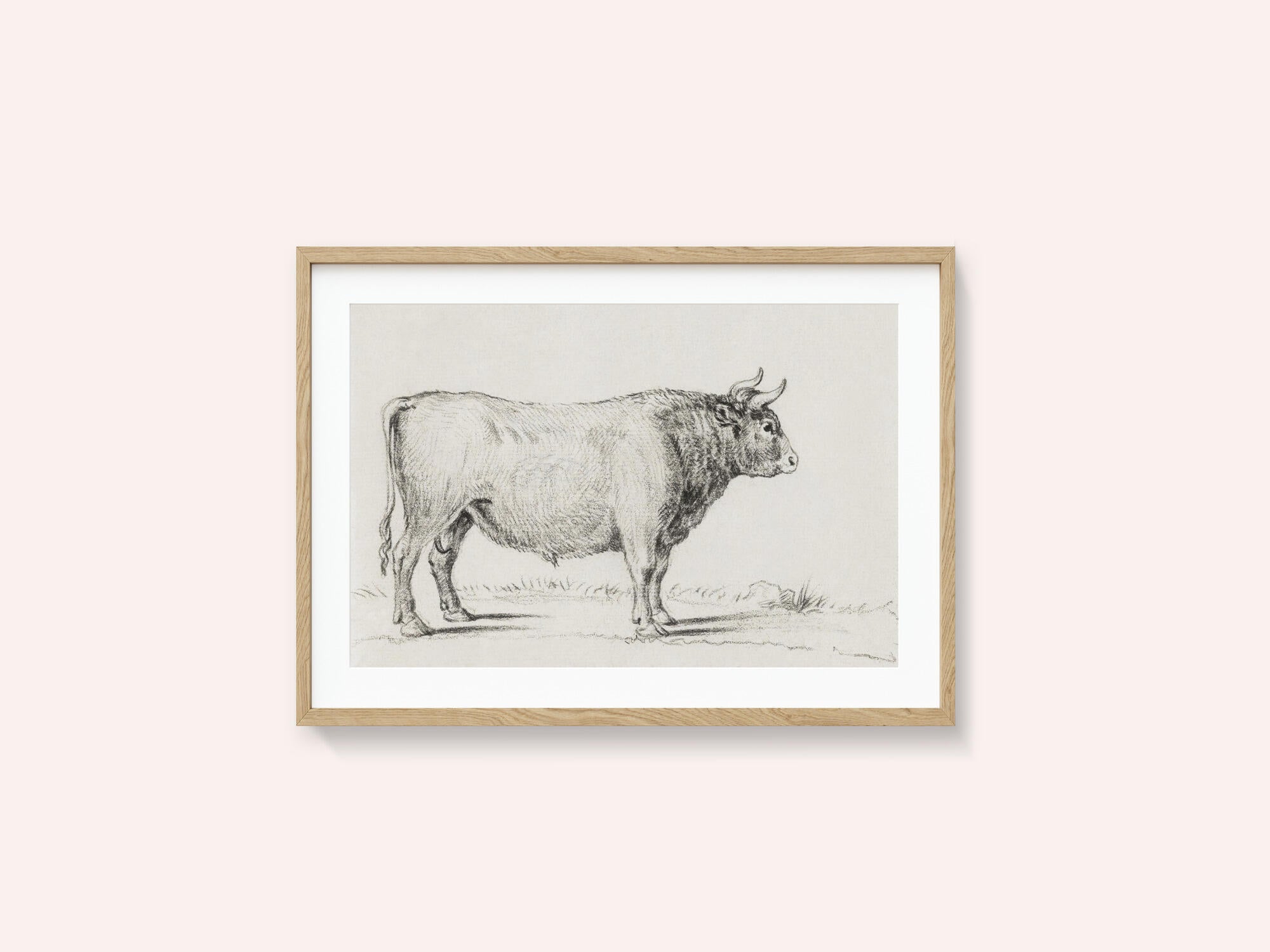 Standing Bull