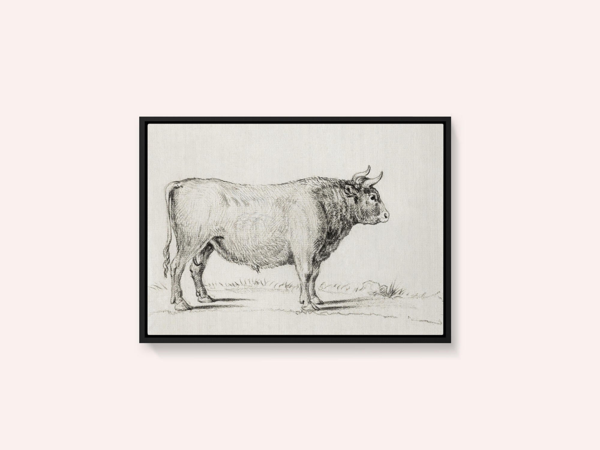 Standing Bull