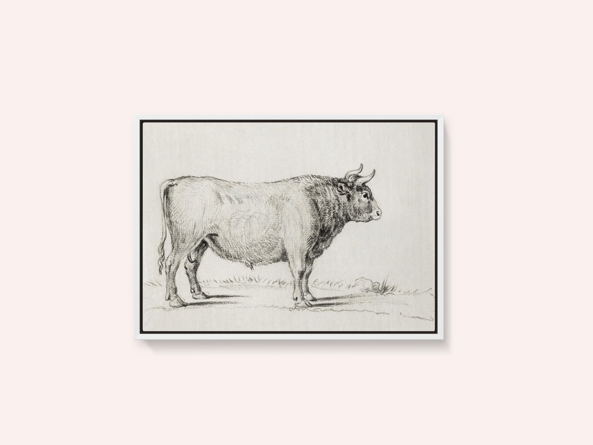 Standing Bull