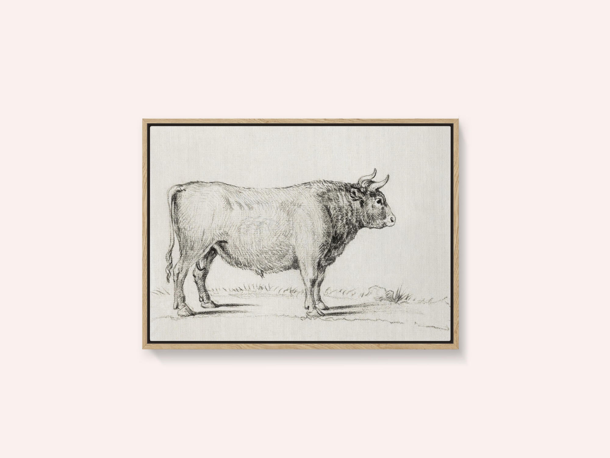 Standing Bull