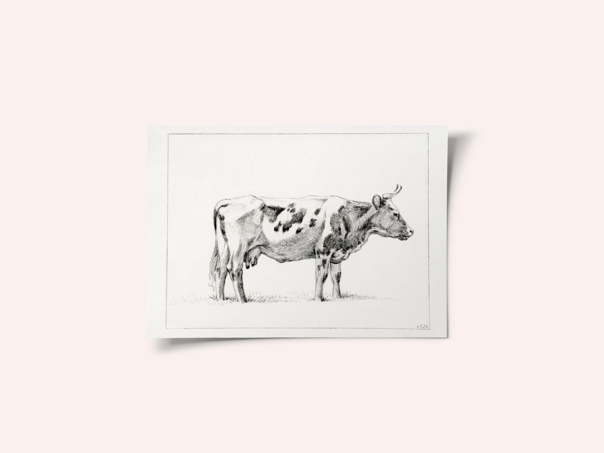Standing Cow (1820)