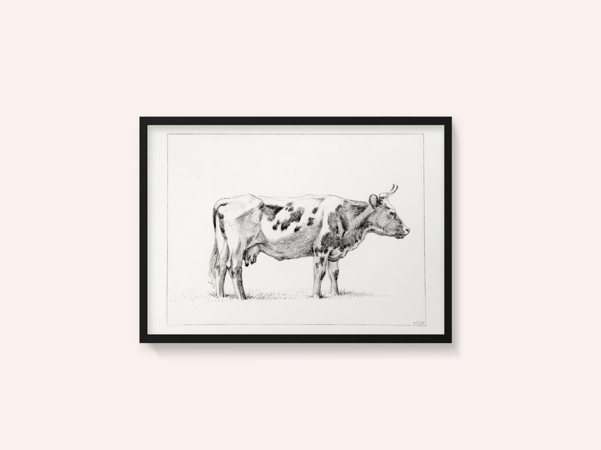 Standing Cow (1820)