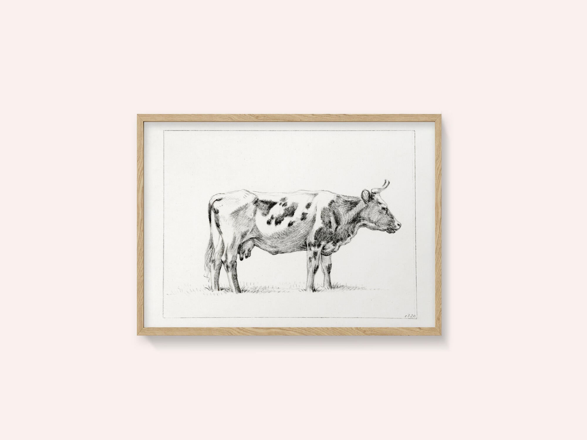 Standing Cow (1820)