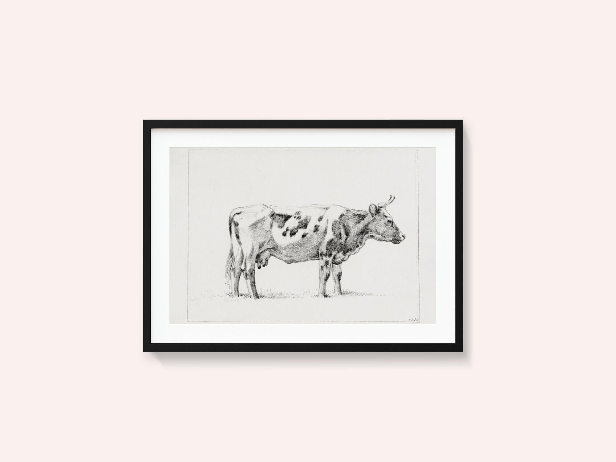 Standing Cow (1820)