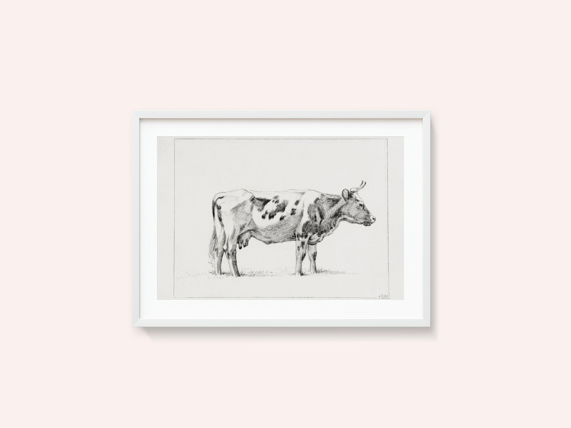 Standing Cow (1820)