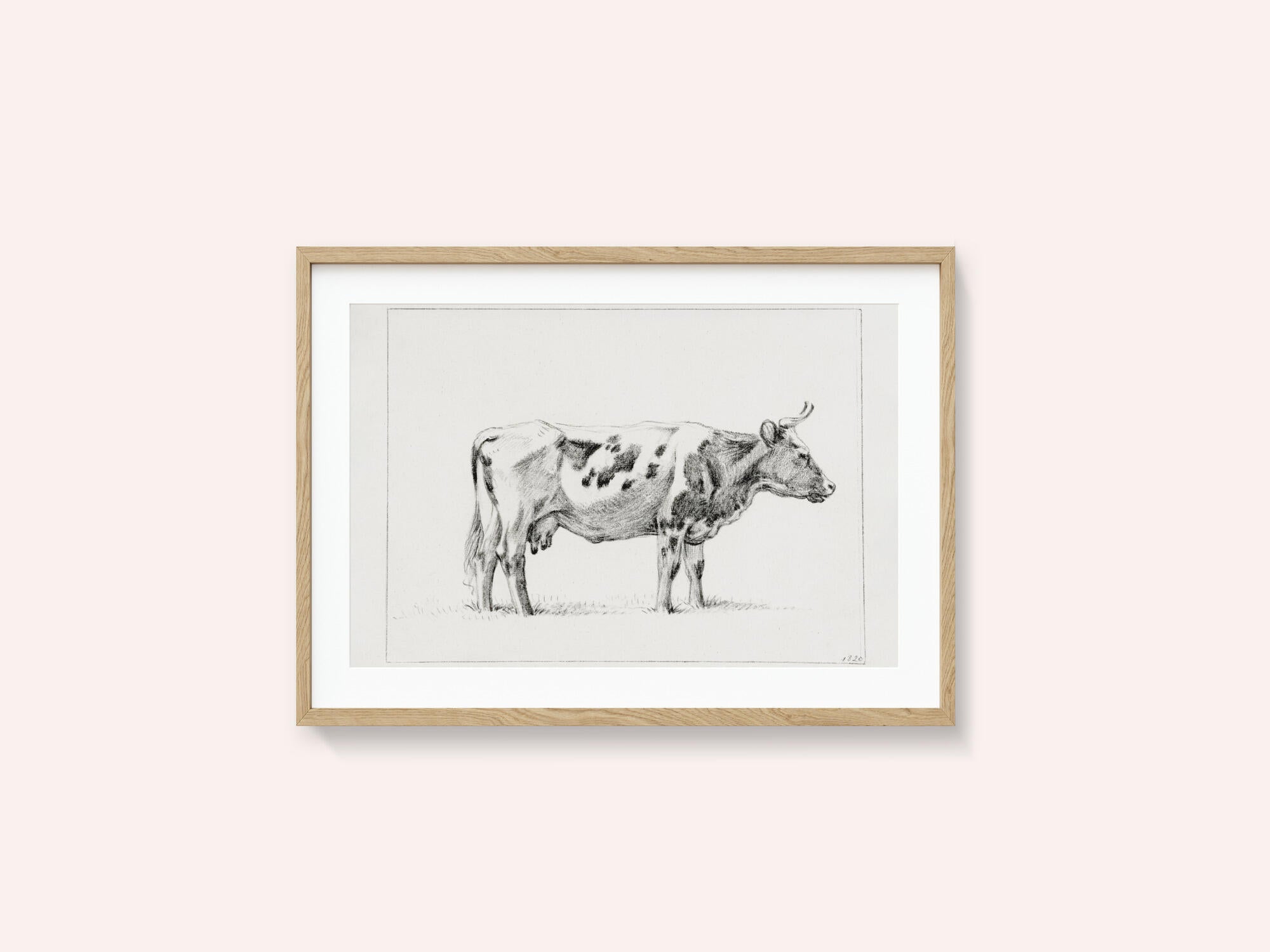 Standing Cow (1820)