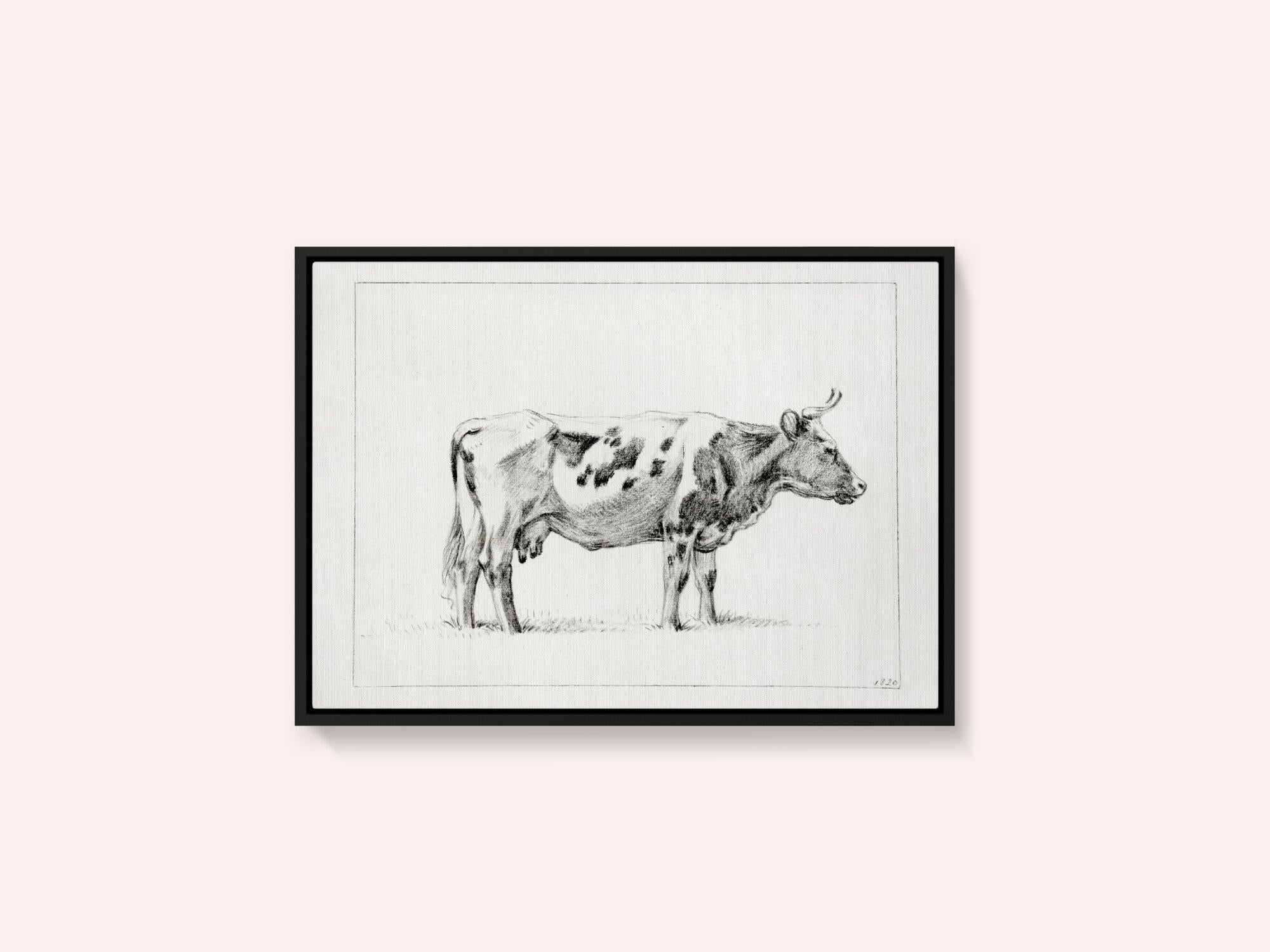 Standing Cow (1820)
