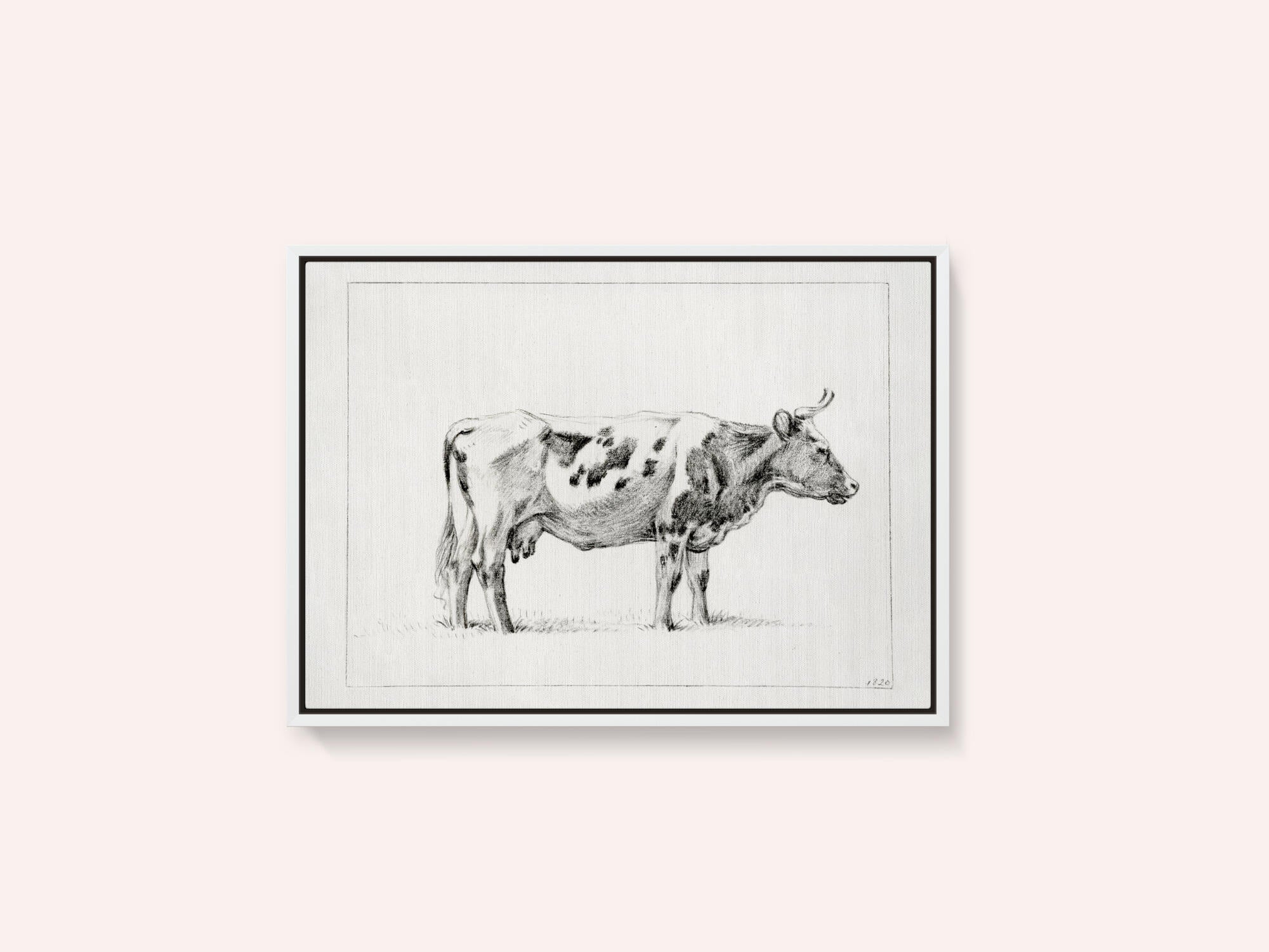 Standing Cow (1820)