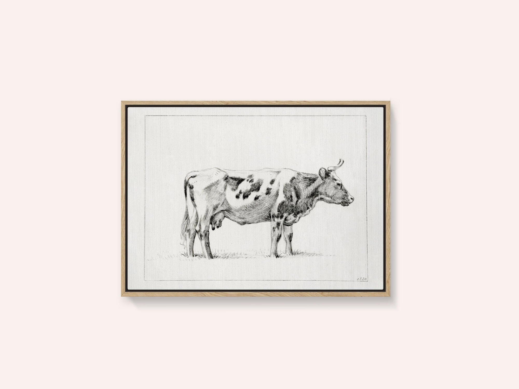 Standing Cow (1820)