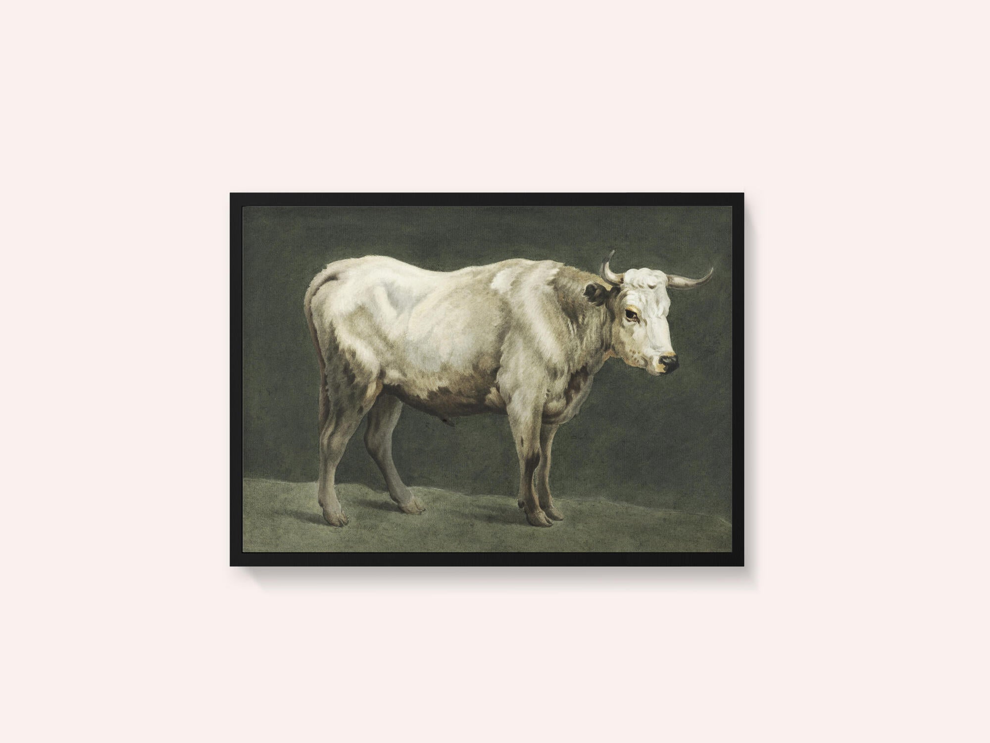 Standing Bull Painting