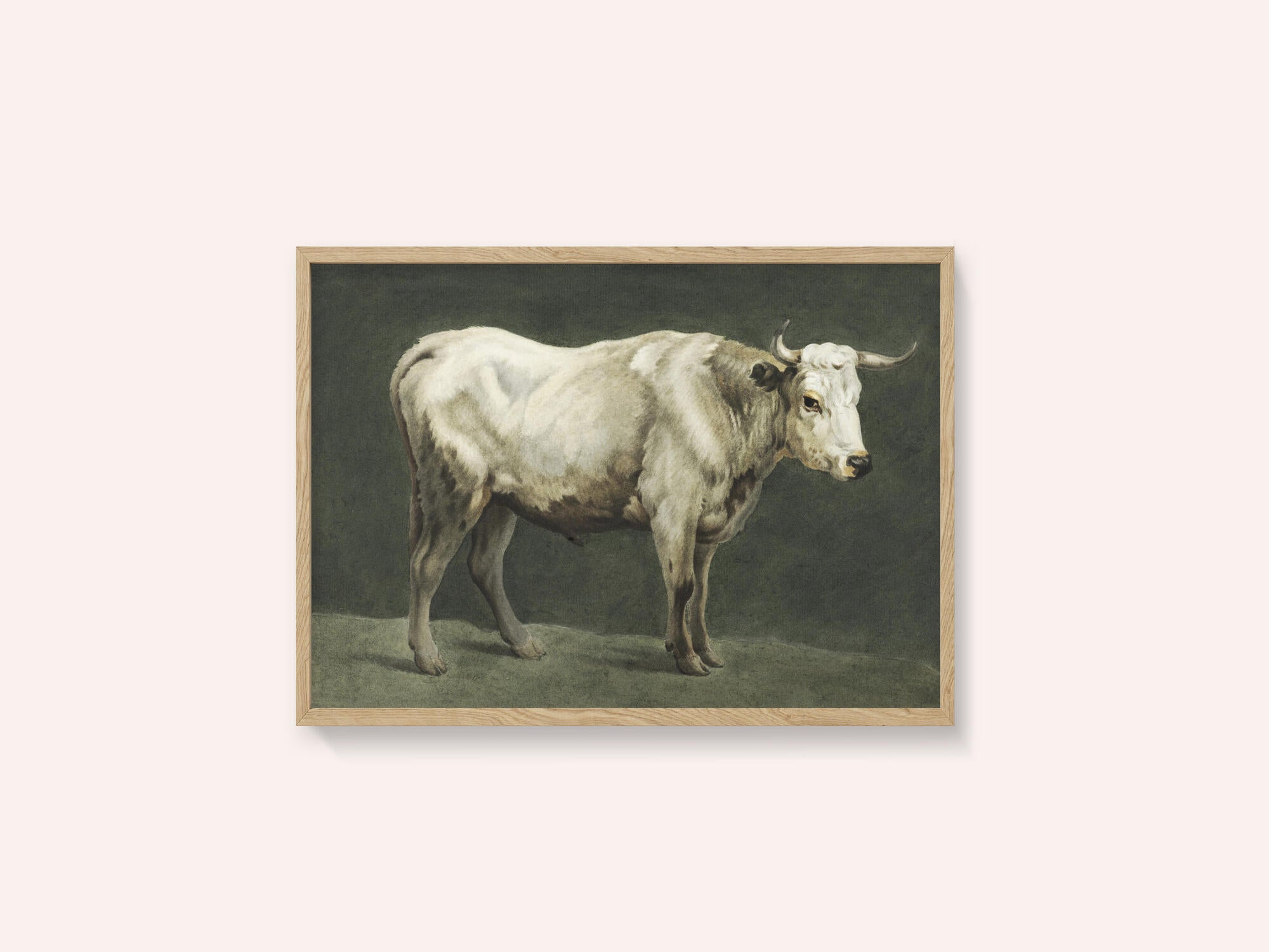 Standing Bull Painting