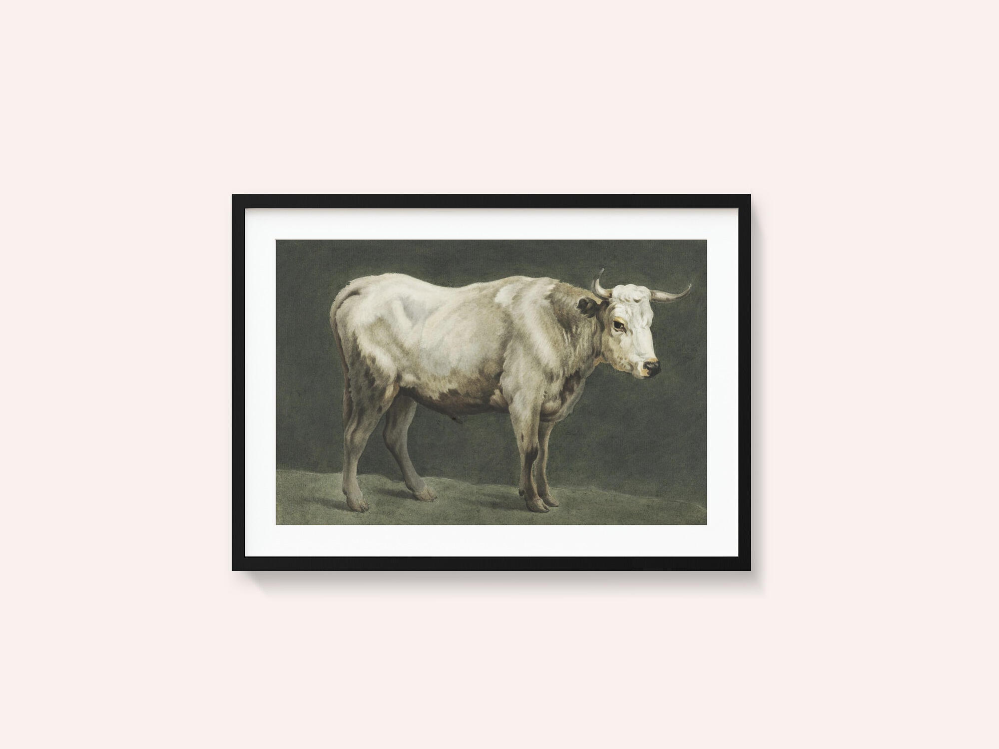 Standing Bull Painting