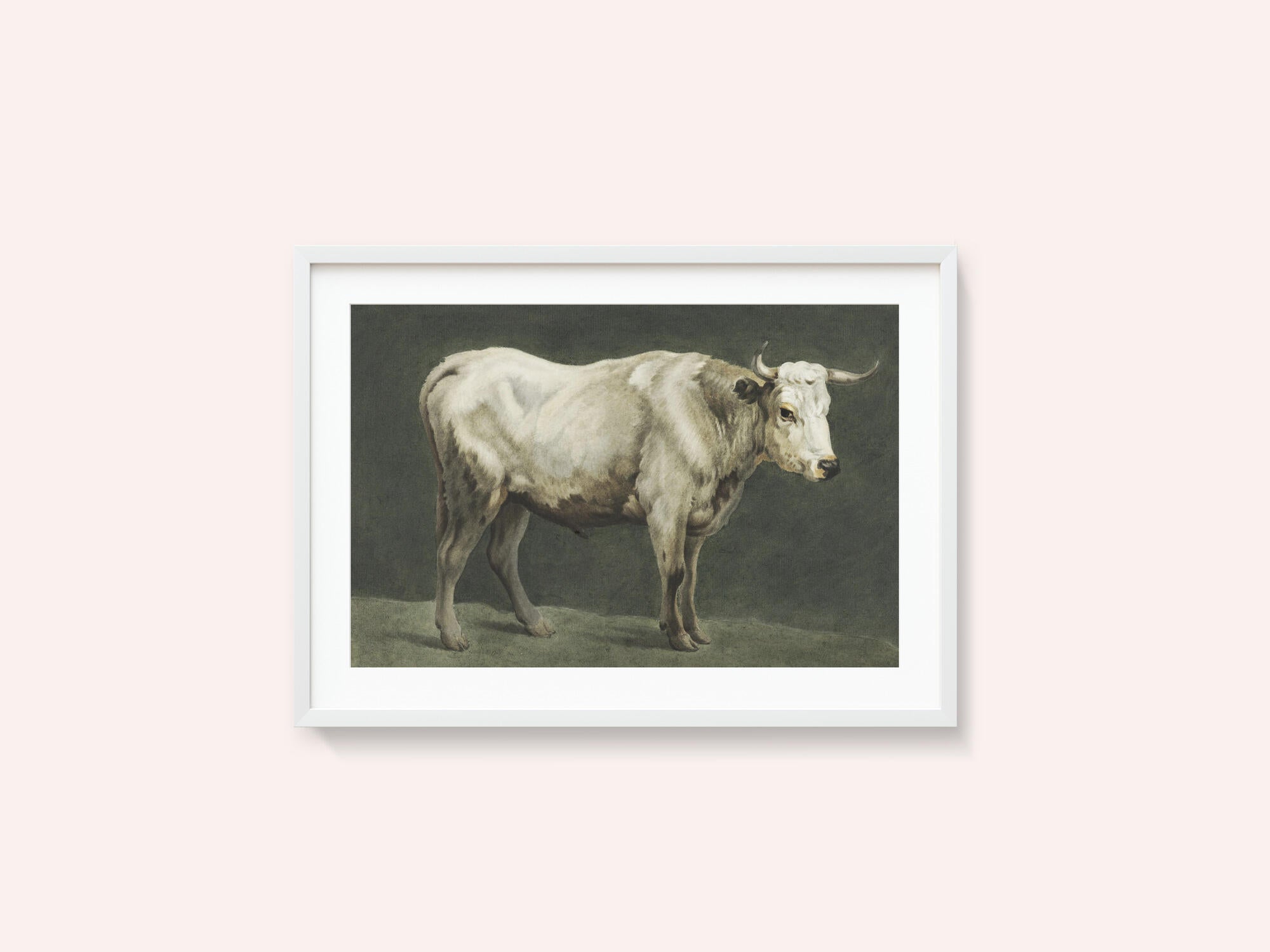 Standing Bull Painting