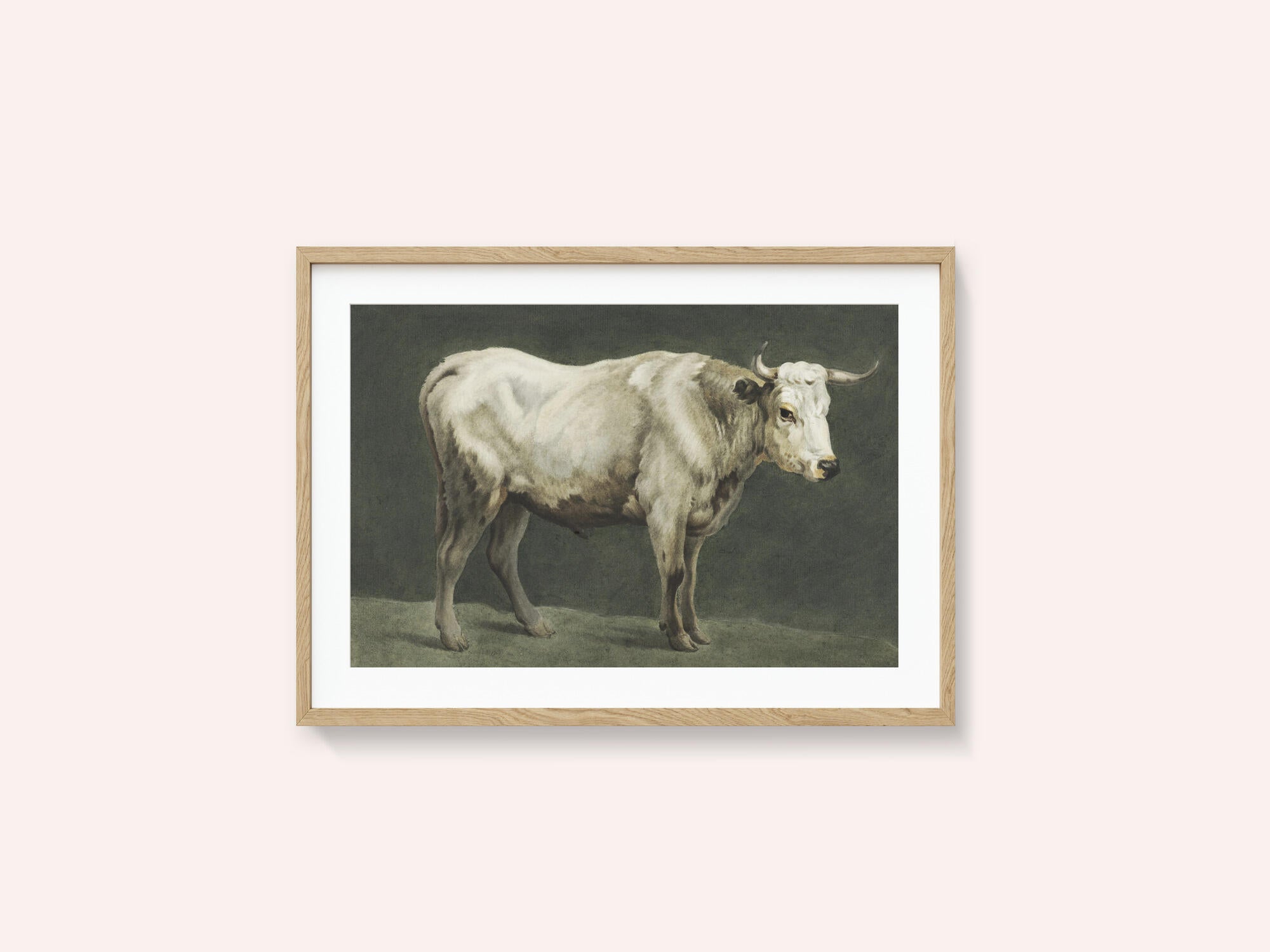 Standing Bull Painting