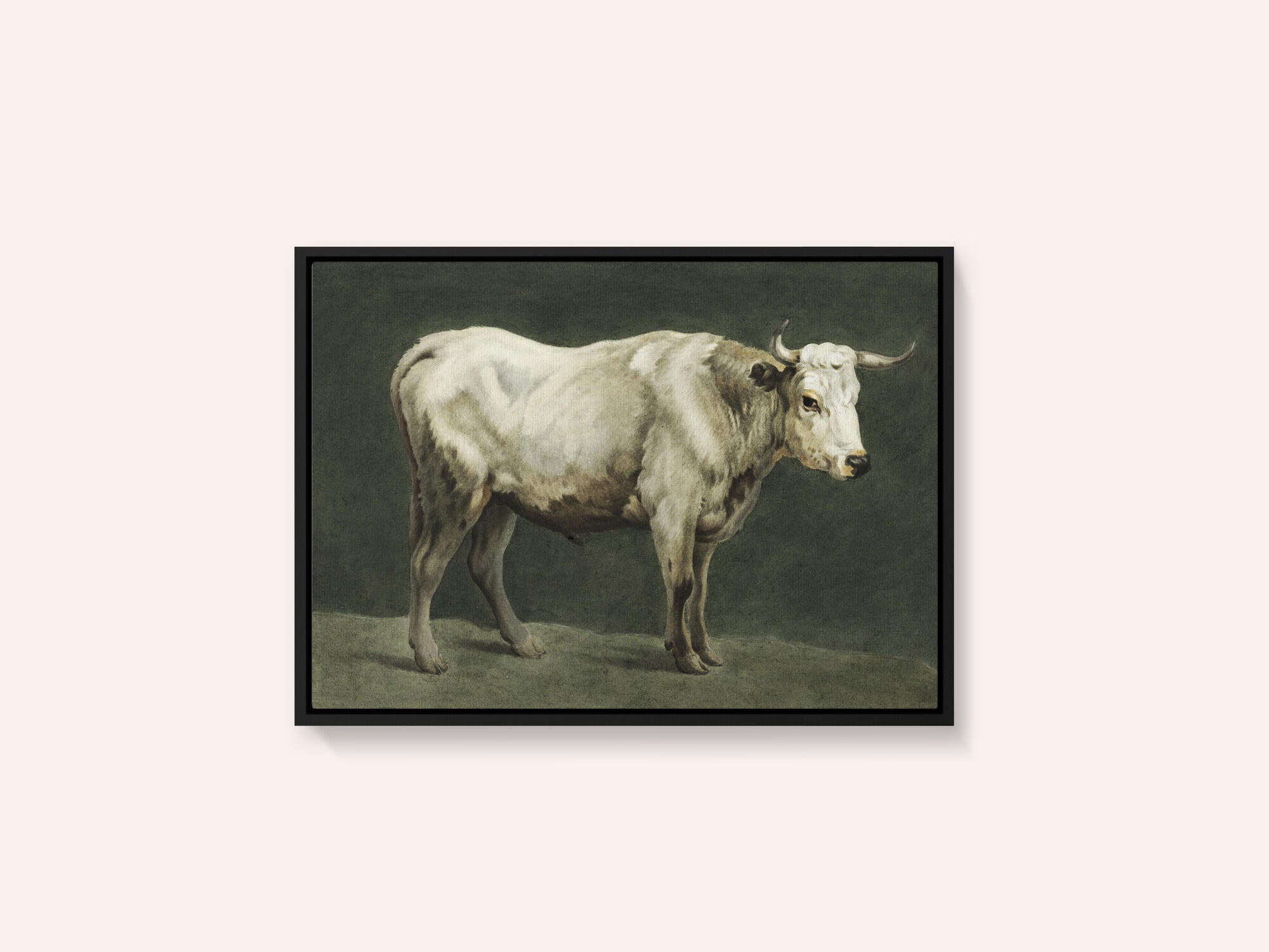 Standing Bull Painting