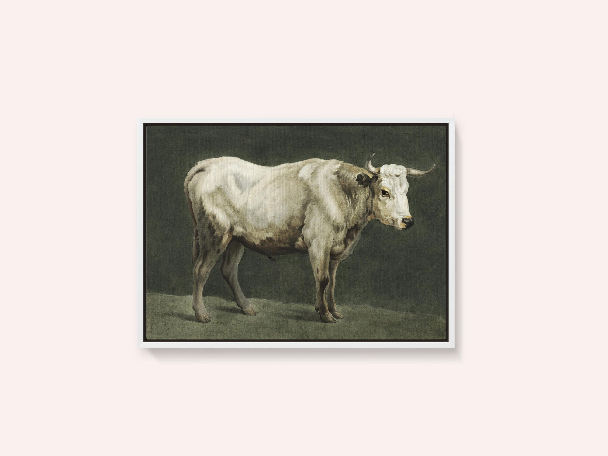 Standing Bull Painting