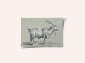 Standing Goat By Jean Bernard