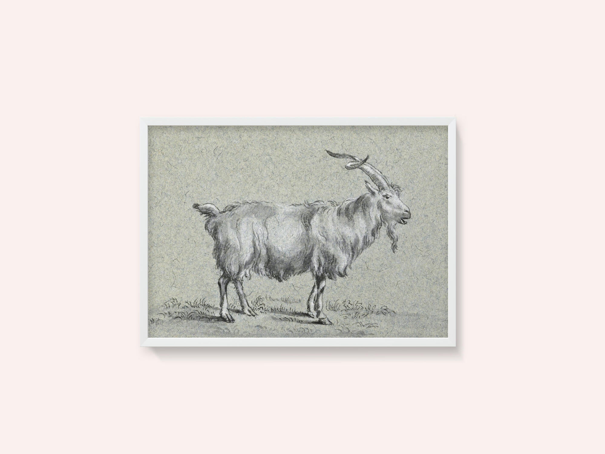 Standing Goat By Jean Bernard