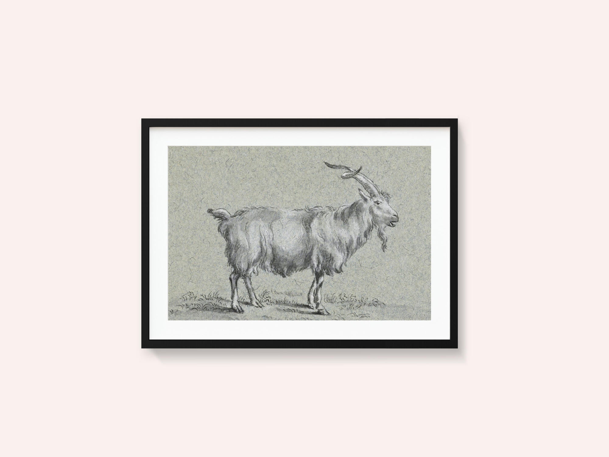 Standing Goat By Jean Bernard