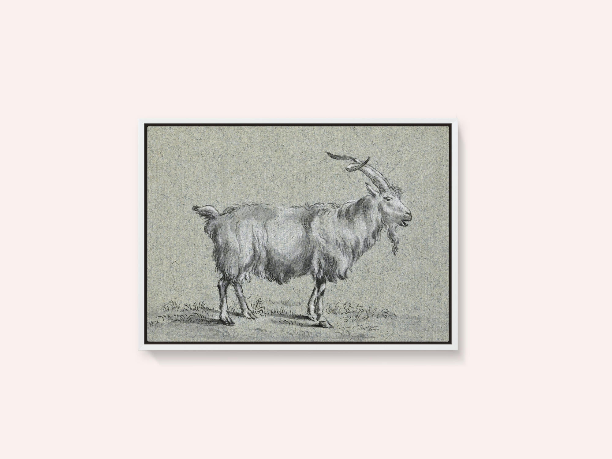 Standing Goat By Jean Bernard