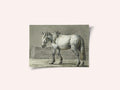Standing Horse (1810   1816) By Jean Bernard
