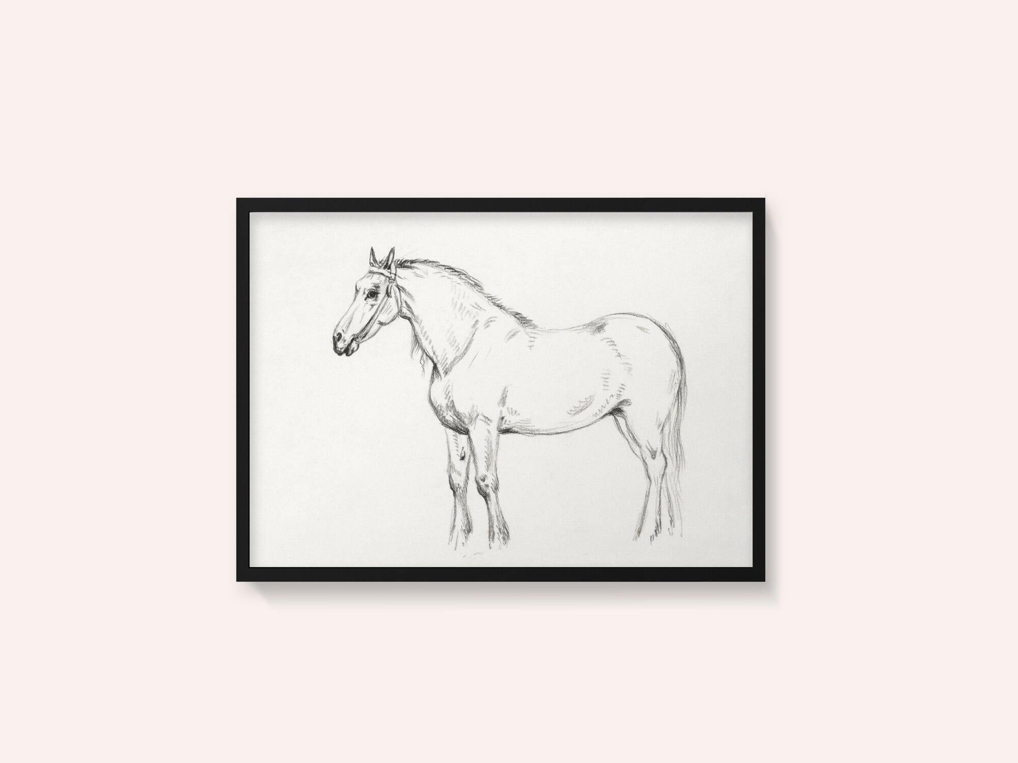 Standing Horse (1818)