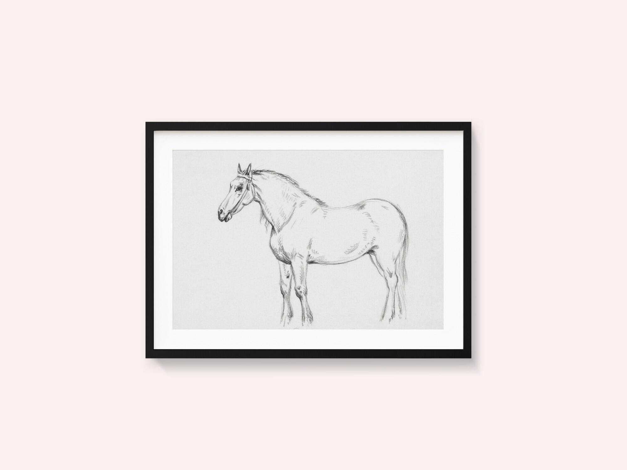 Standing Horse (1818)