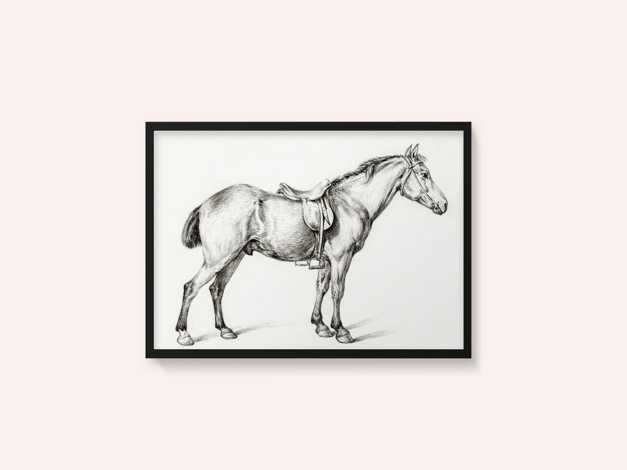 Standing Horse By Jean Bernard (1775 1883)