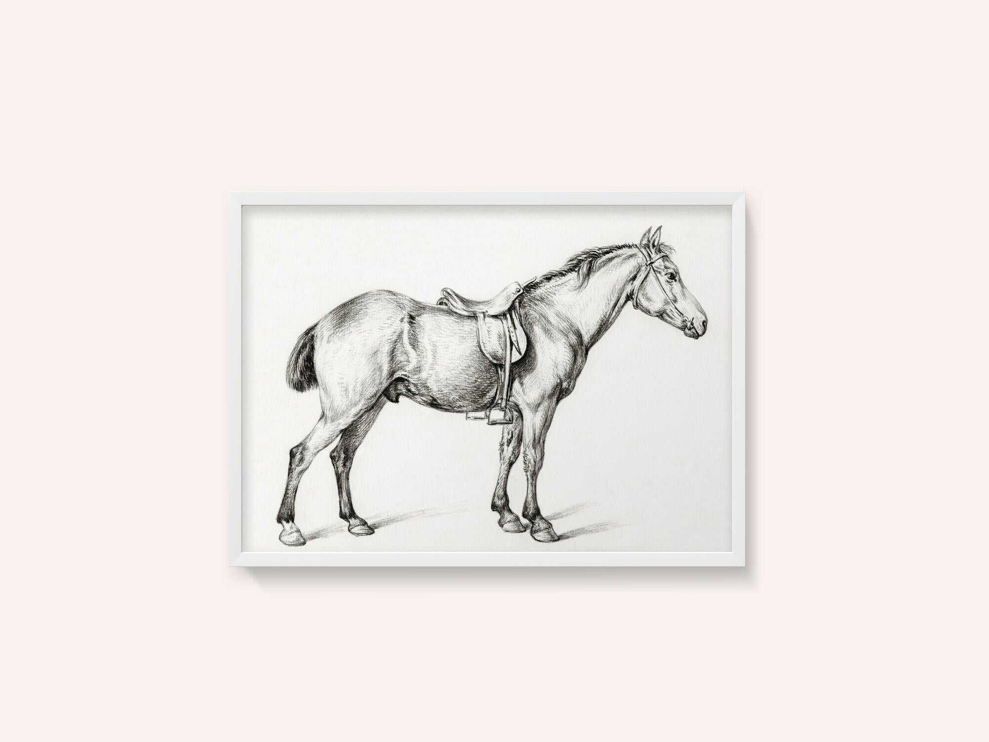Standing Horse By Jean Bernard (1775 1883)