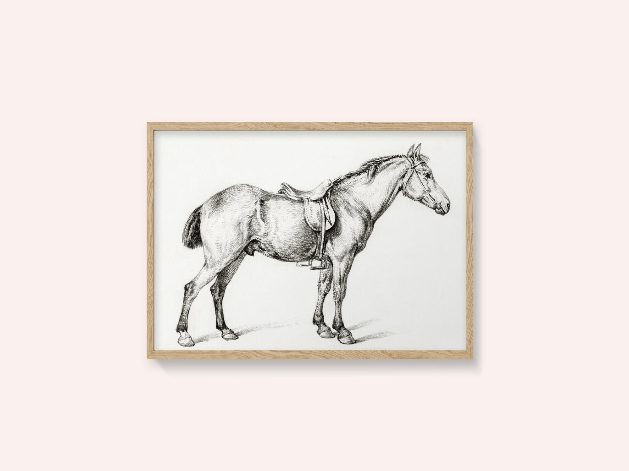 Standing Horse By Jean Bernard (1775 1883)