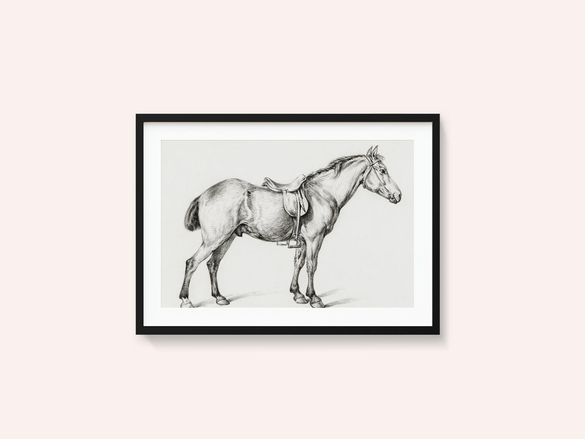 Standing Horse By Jean Bernard (1775 1883)