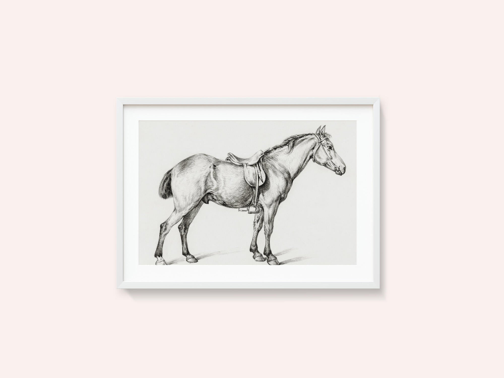 Standing Horse By Jean Bernard (1775 1883)