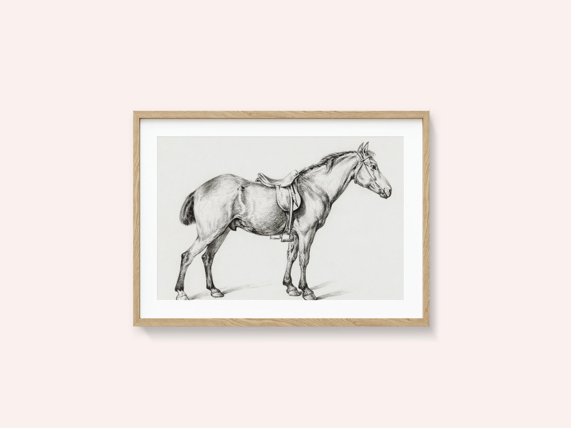 Standing Horse By Jean Bernard (1775 1883)