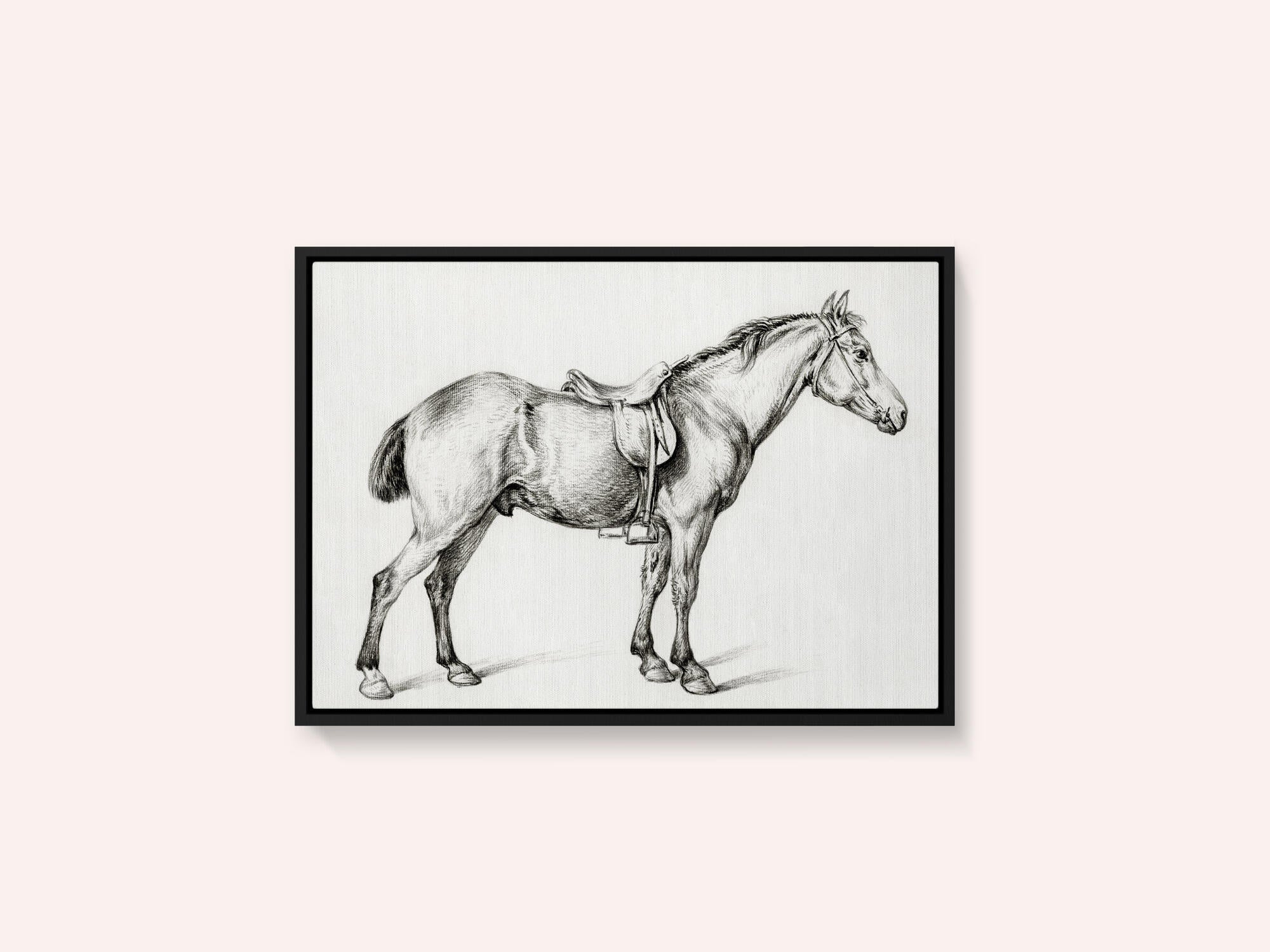 Standing Horse By Jean Bernard (1775 1883)