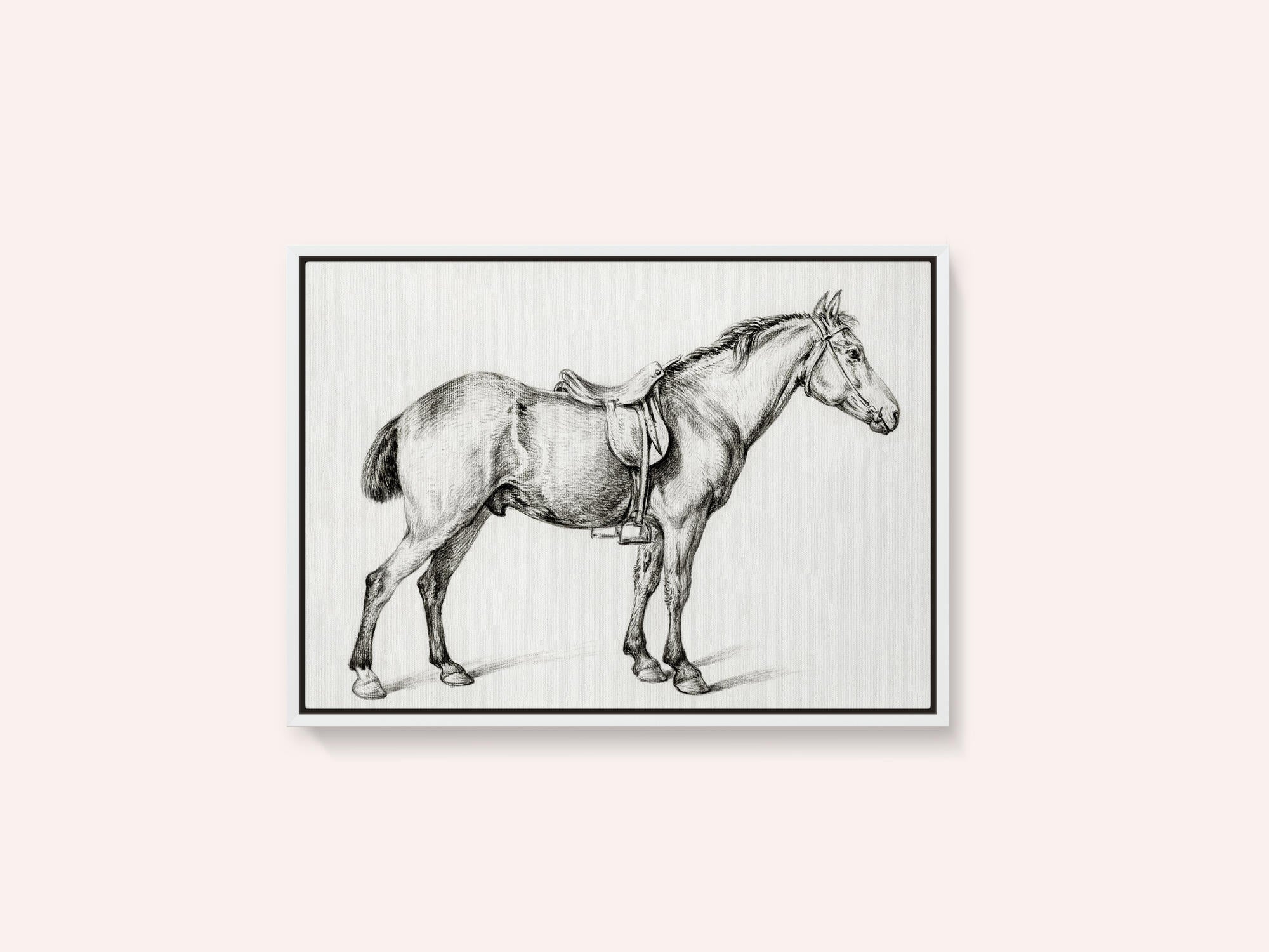 Standing Horse By Jean Bernard (1775 1883)