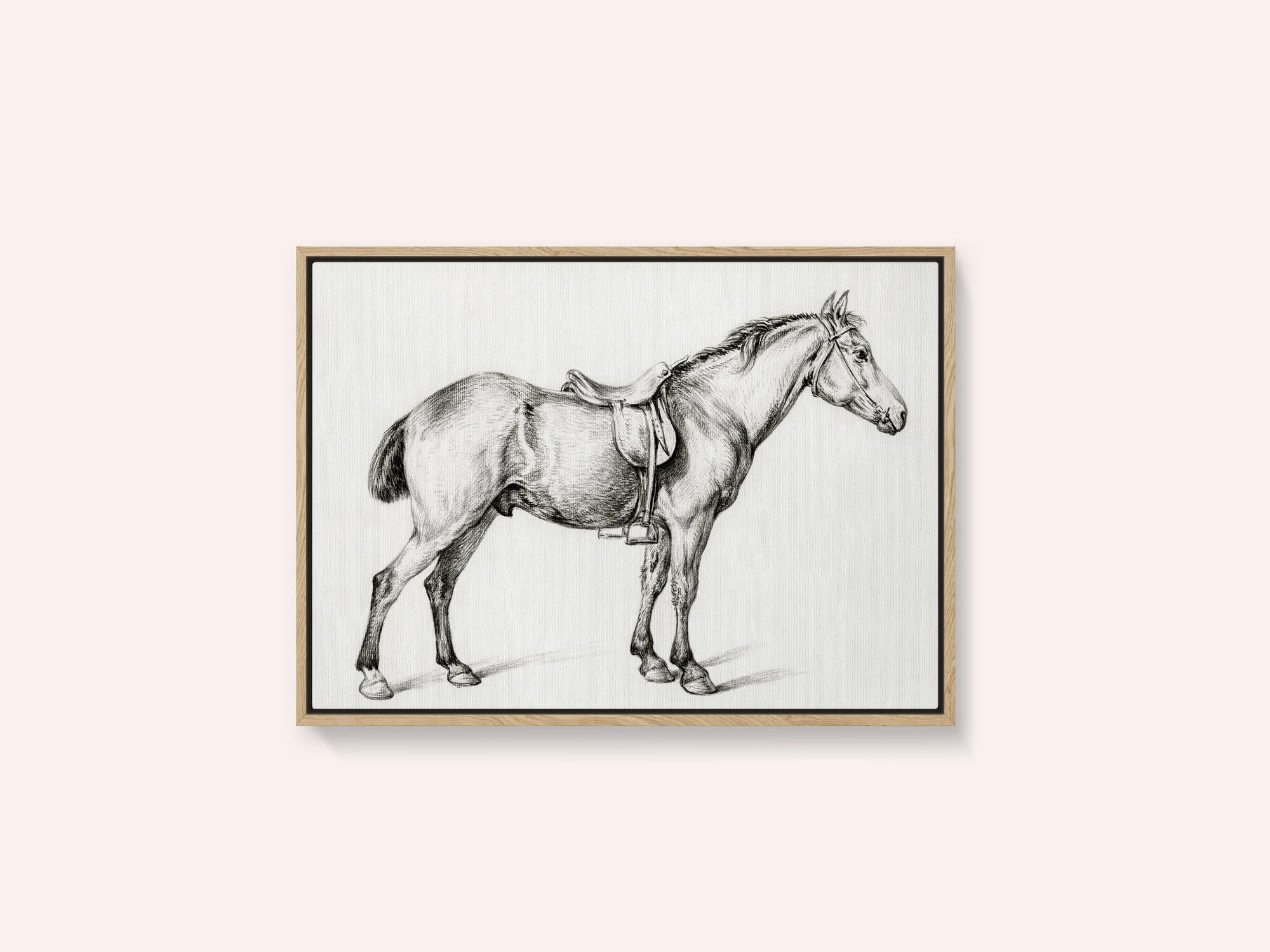 Standing Horse By Jean Bernard (1775 1883)